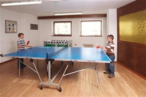 Tischtennis
