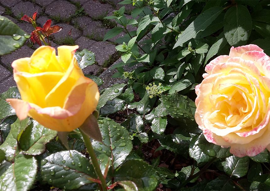 Illuminazione della stanza