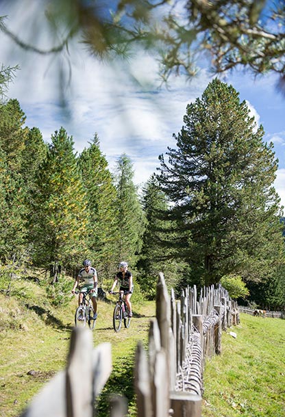 Mountain bike holiday